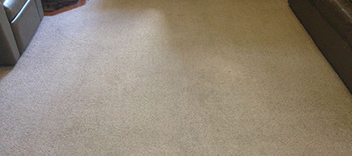 Commercial & Domestic Carpet Cleaning After